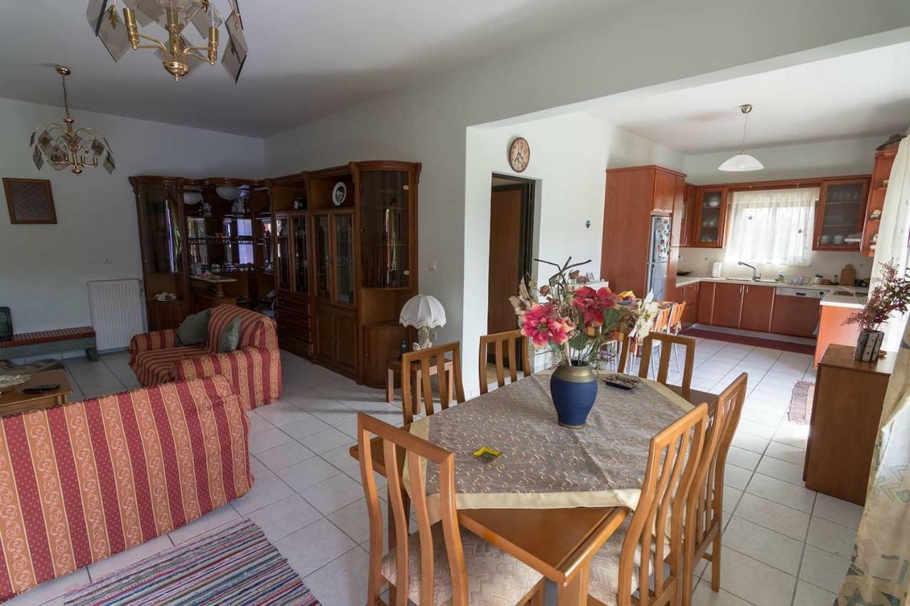 Big Family House In Mesochoria Village מראה חיצוני תמונה